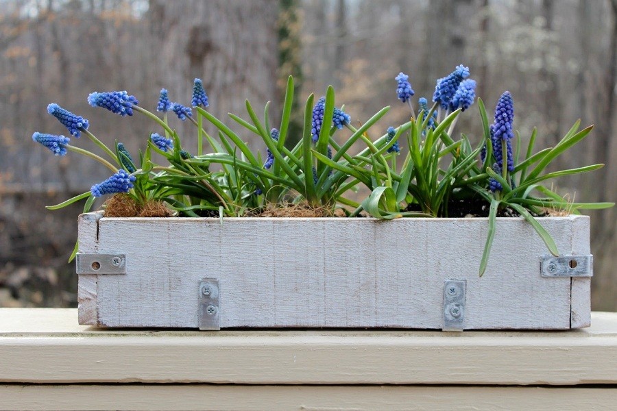 Tips to Set Up Planter Box Garden